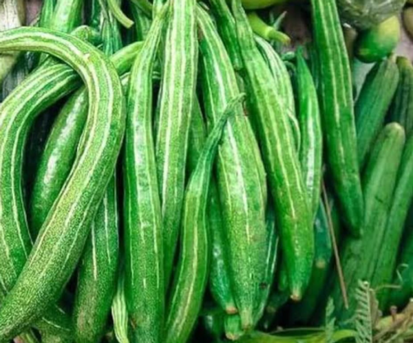 চিচিংগা/চিচিংগা – Snake Gourd (স্নেক গোর্ড)/ ১ কেজি