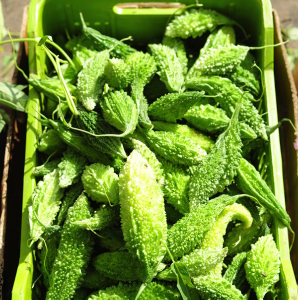 করলা – Balsam Apple (বোলসাম এ্যাপেল) / ১ কেজি