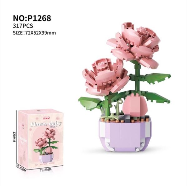 Time Lover-Potted plant