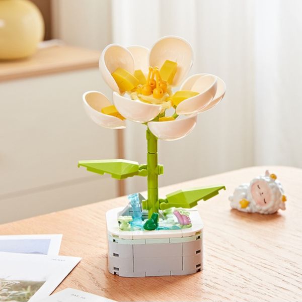 Camellia potted plant