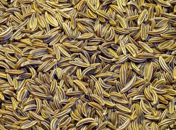 জিরা / ১কেজি