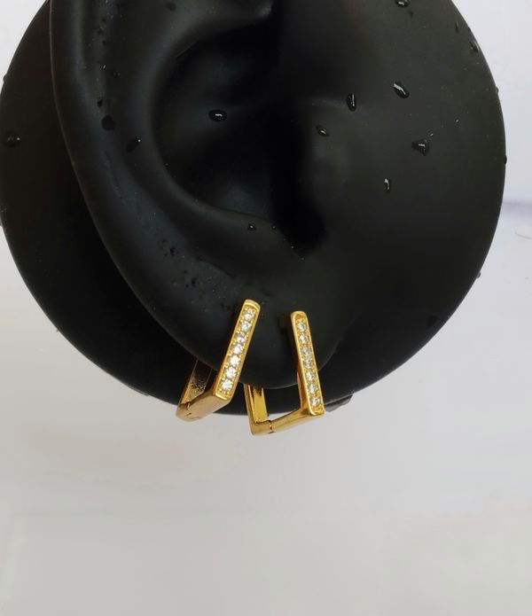 Donnie hoops earrings