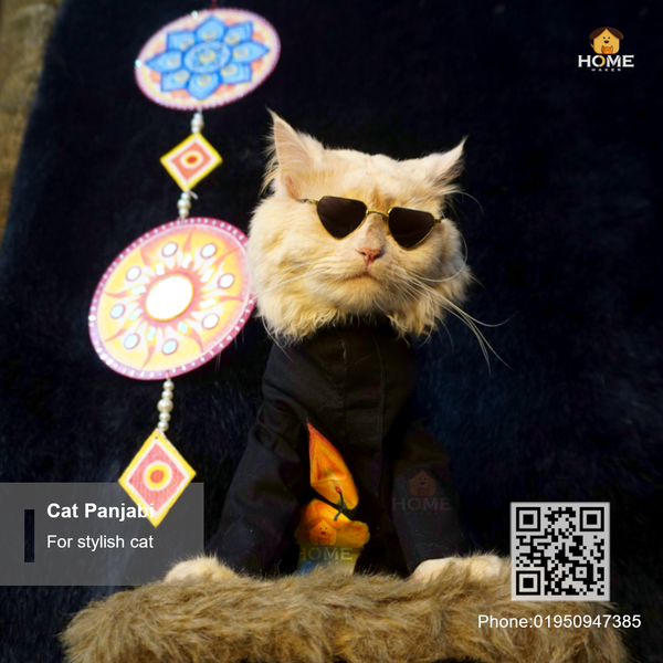 cat panjabi - Image 2