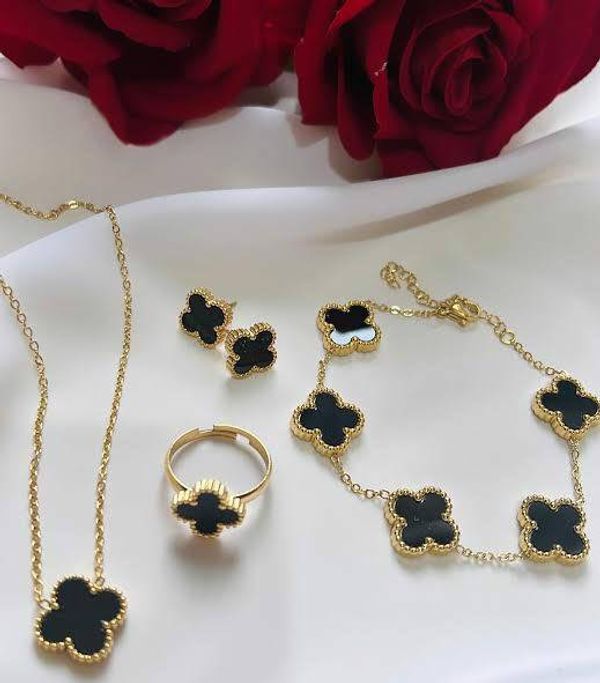 Premium Titanium Jewellery set (Colour gurantee