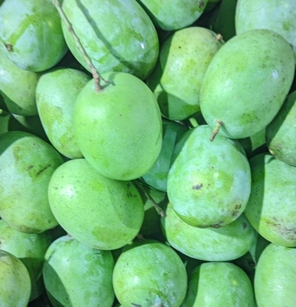আম (ল্যাংড়া-1kg) ফরমালিন মুক্ত