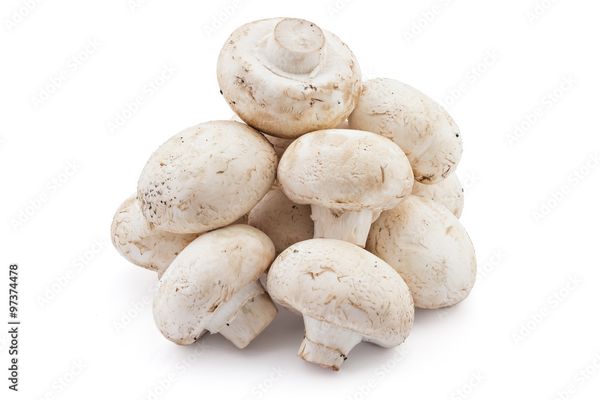 Mushroom Button White.