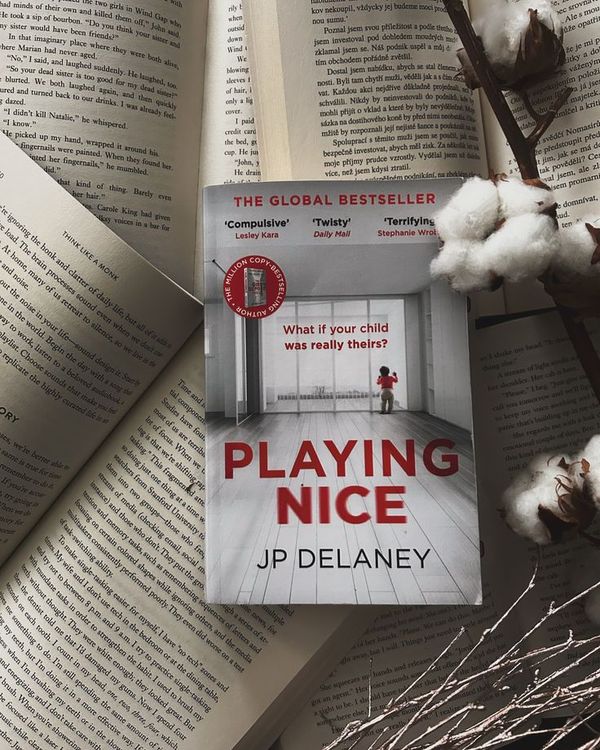 Playing Nice by Jp Delaney