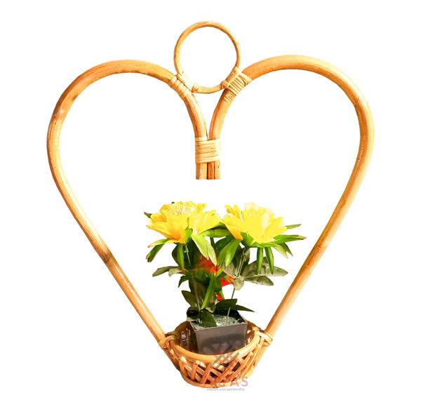 Love-Shaped Plant Holder