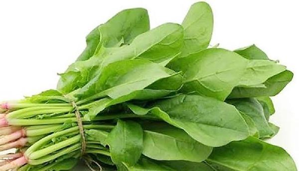 পালং শাকের Spinach (স্পিনাচ)/প্রতি কেজি