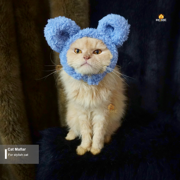 Cat Maflar