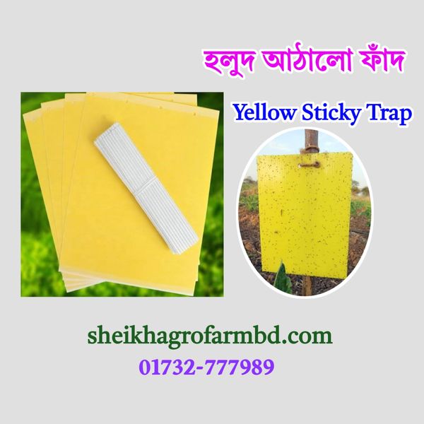 হলুদ আঠালো ফাঁদ (Yellow Sticky Trap)