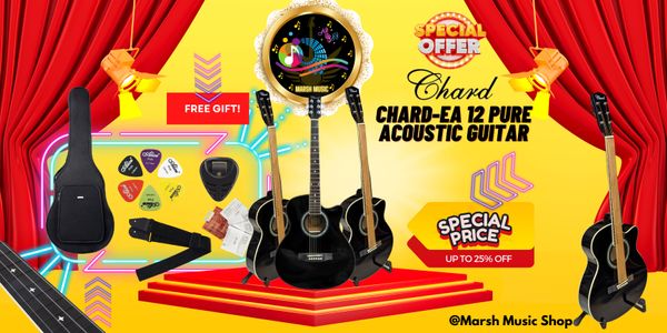 🔰👉𝗖𝗵𝗮𝗿𝗱-𝗘𝗔 𝟭𝟮 𝗣𝘂𝗿𝗲 𝗔𝗰𝗼𝘂𝘀𝘁𝗶𝗰 𝗚𝘂𝗶𝘁𝗮𝗿 - Image 2