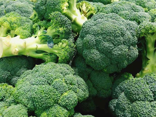 হাইব্রিড ব্রকলির বীজ । F1 Hybrid broccoli seeds