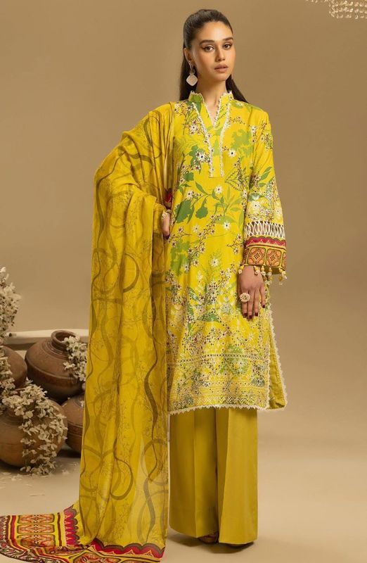 Pakistani dress