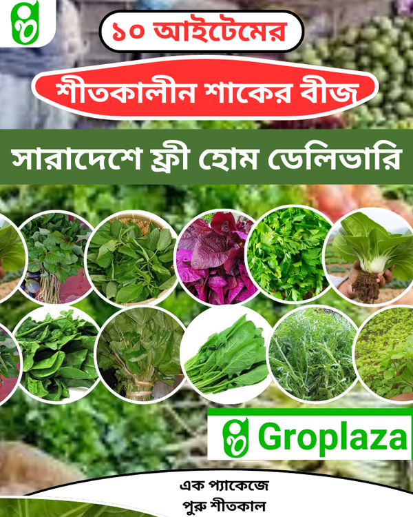 শীতকালীন ১০ আইটেমের শাকের  বীজের কম্বো প্যাকেজ