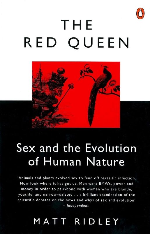 The Red Queen