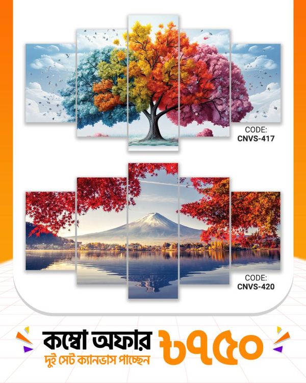 ক্যানভাস কম্বো -৬৬। CNVS-417,420