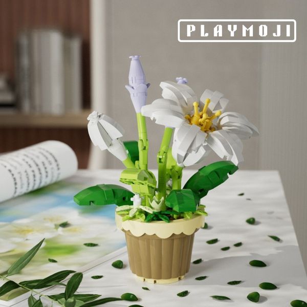 Lily potted plants