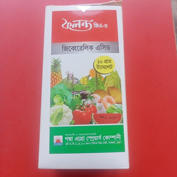 ফলন্ত জিএ-৩ । Folanto