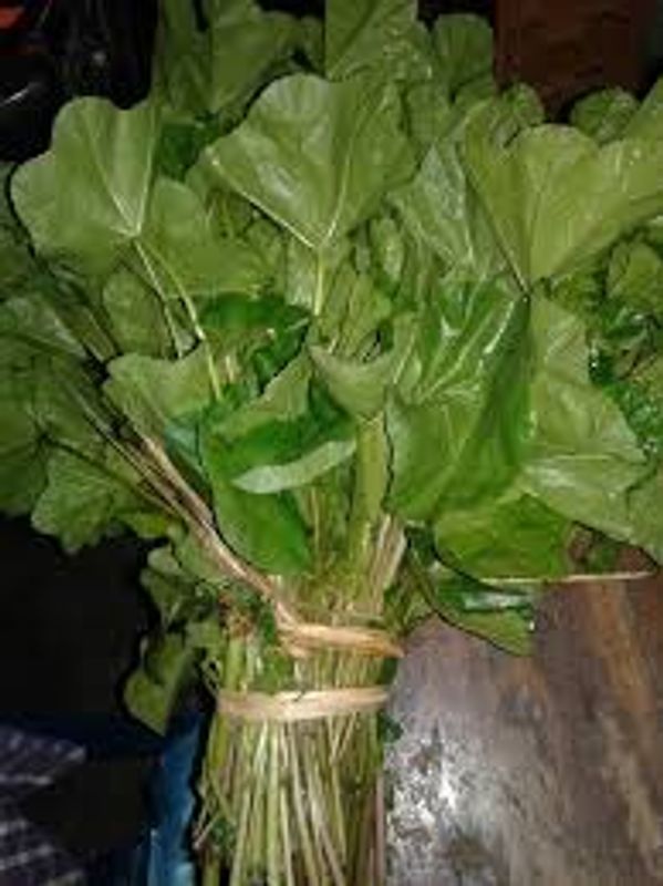 উত্তরবঙ্গের জনপ্রিয় লাপ / নাপা  / নাফা শাকের বীজ।