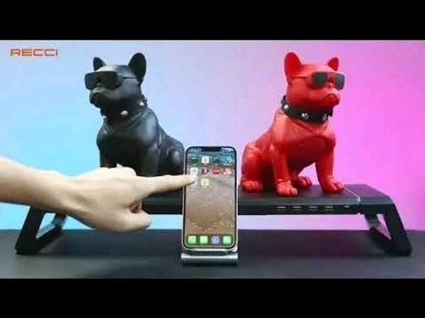 🐶RECCI RSK-W18 BullDog Wireless Speaker with Microphone - Image 9