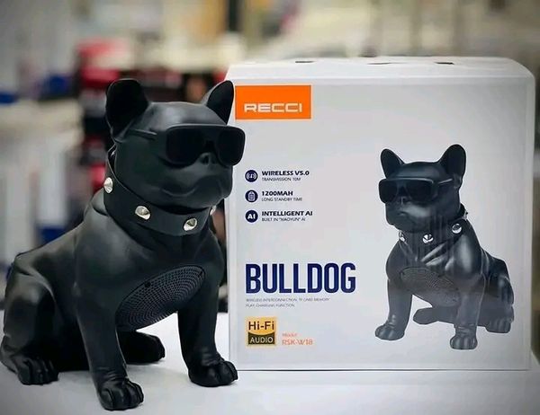 🐶RECCI RSK-W18 BullDog Wireless Speaker with Microphone - Image 10