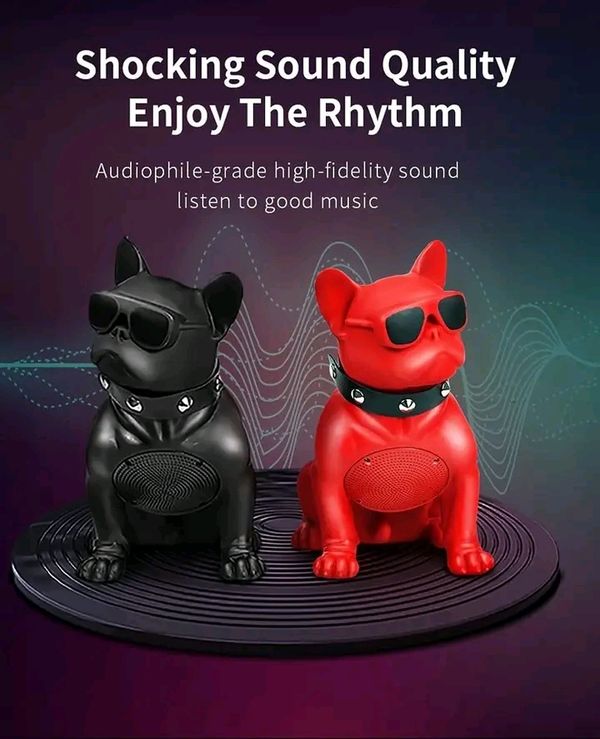 🐶RECCI RSK-W18 BullDog Wireless Speaker with Microphone - Image 11