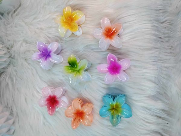 Wild Rose 6 cm available Colour