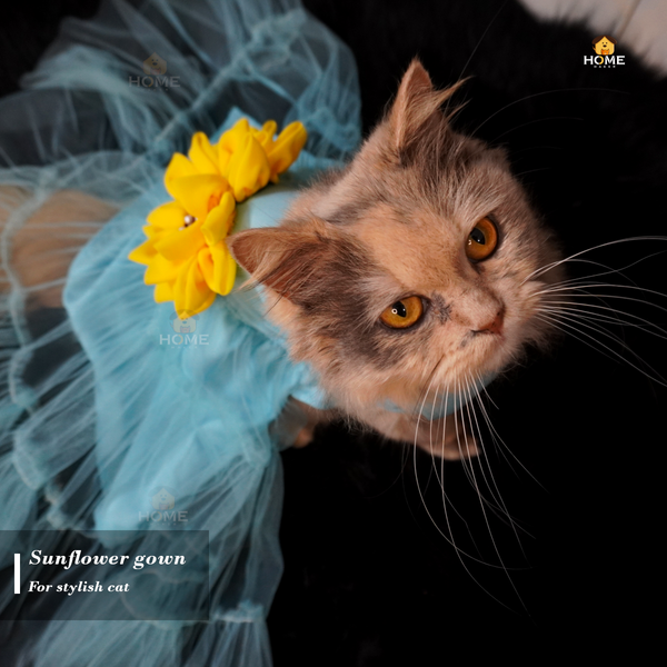 cat frock (3.5 kg)