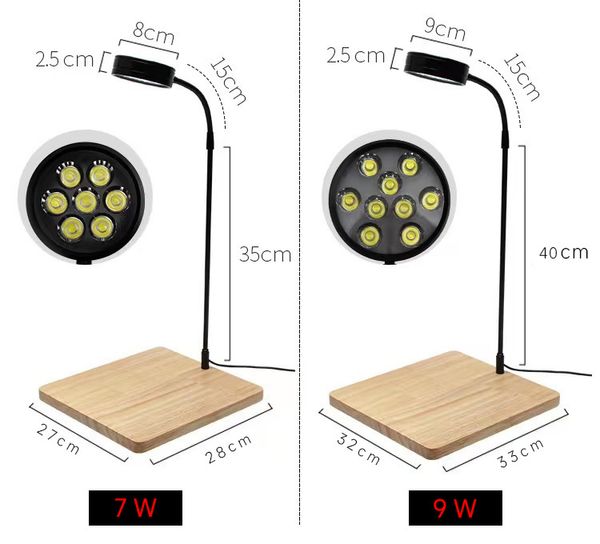 board light