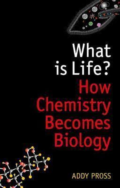 What is Life?: How Chemistry Becomes Biology