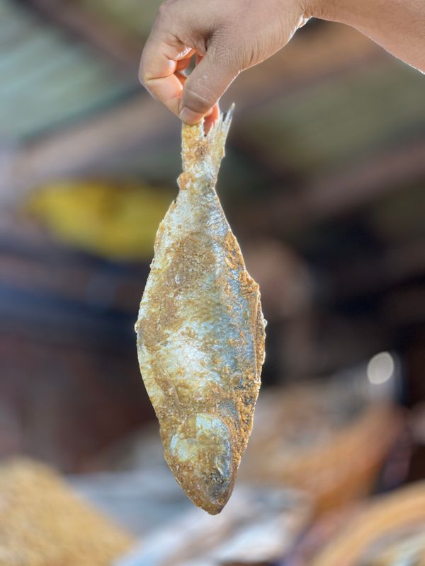 লোনা ইলিশ শুঁটকি (Hilsha)