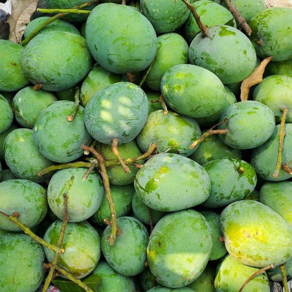 গোপালভোগ আম ।। Gopalbhog Mango