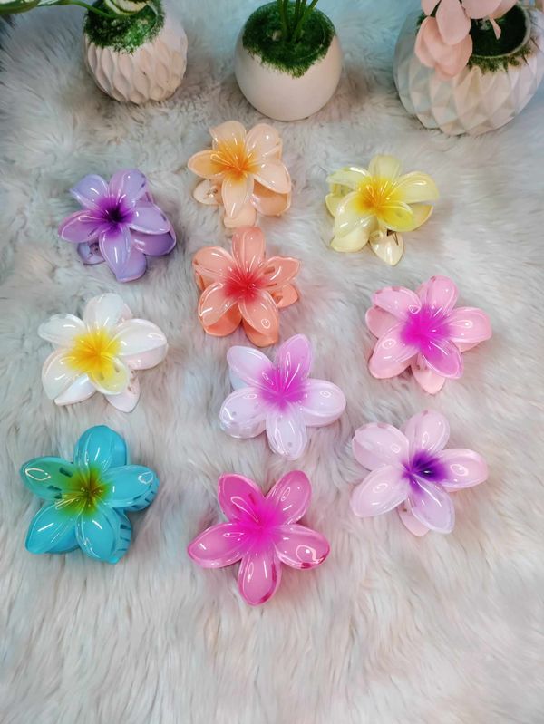 Wild Rose 8 cm