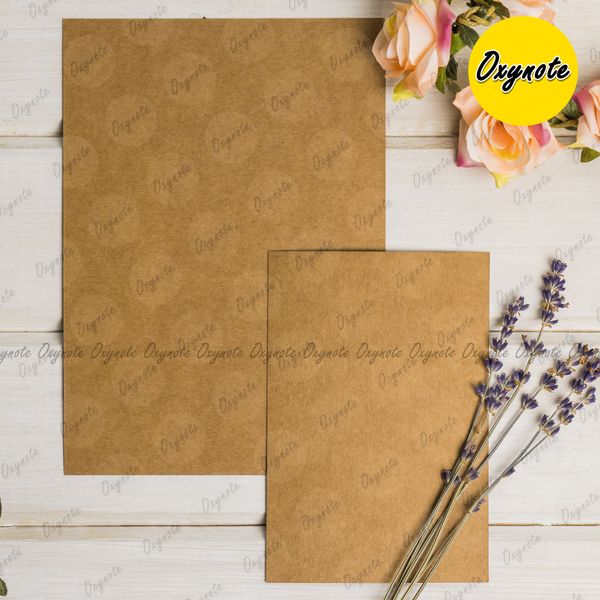 Blank Kraft Card by OXYNOTE - 25 Cards - 400GSM