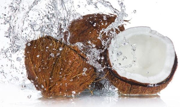 Coconut (নারকেল)
