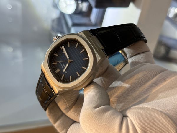 Patek Blue Dial Black Belt