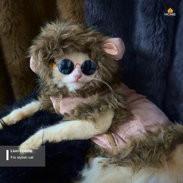 Lion cat hoodie (custome)