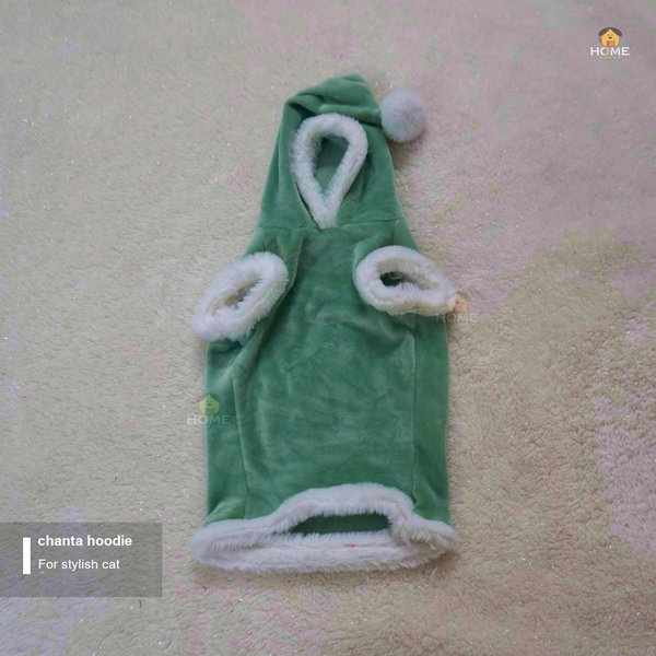 cat chanta hoodie (custome)