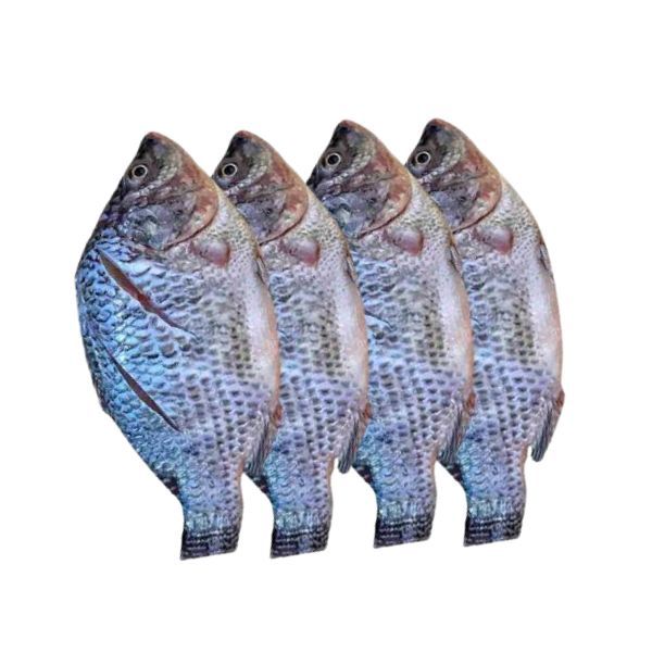 Telapiya Fish Processed (±50gm) 500gm(তেলাপিয়া মাছ)