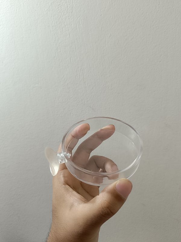 Fish Feeding Dish