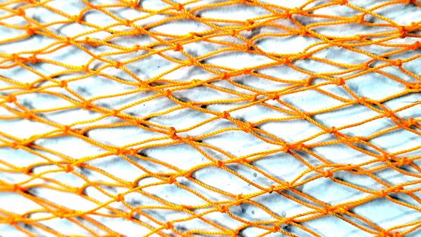 মাছ রাখার নেট - Fishing net Soft