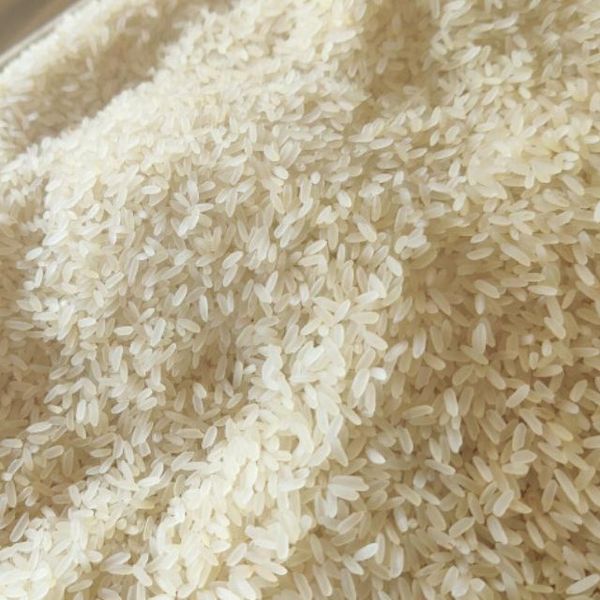 Nazirshail Rice (Half Boiled) ±20gmনাজিরশাইল চাল (আধা সেদ্ধ)
