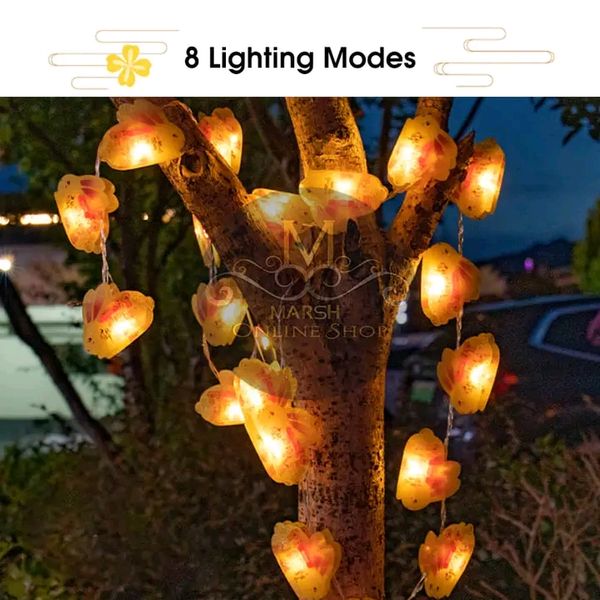 💥Auoyo Mid-Autumn Festival Light String Warm Color Lights - Image 5
