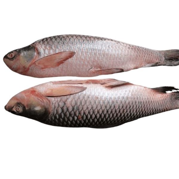 Rui Fish 1kg(রুই মাছ)