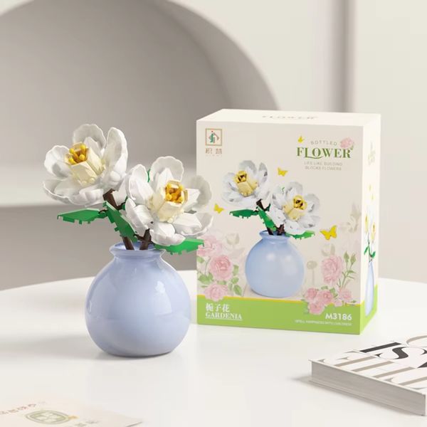 Gardenia -Potted Plants