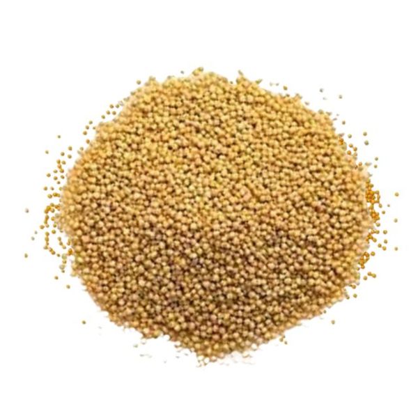 Mustard Seed 100gm(সরিষা দানা)