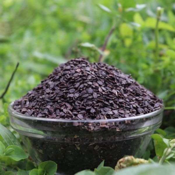 তোকমা দানা (১০০ গ্রাম)