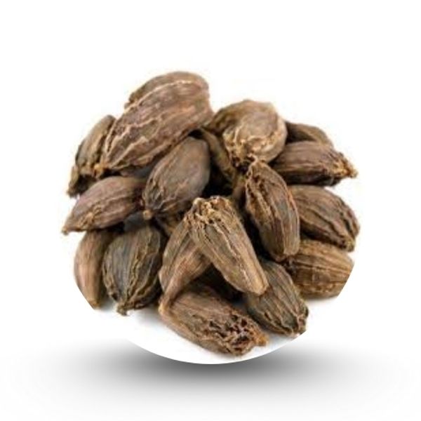 বড় এলাচ মসলা(২৫ গ্রাম)
