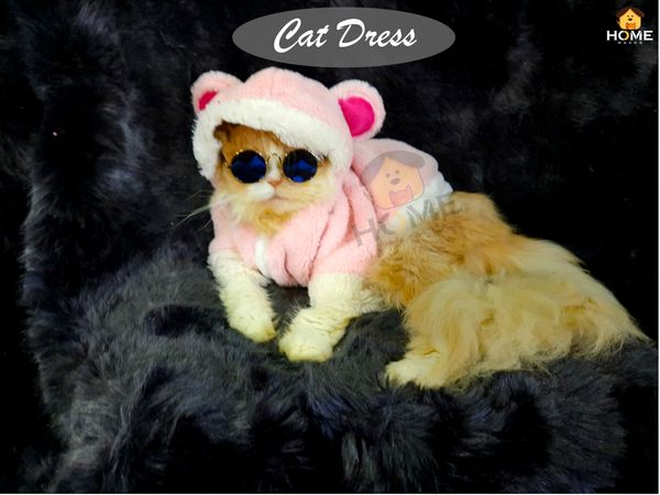 Cat panda hoodie 2.3 kg